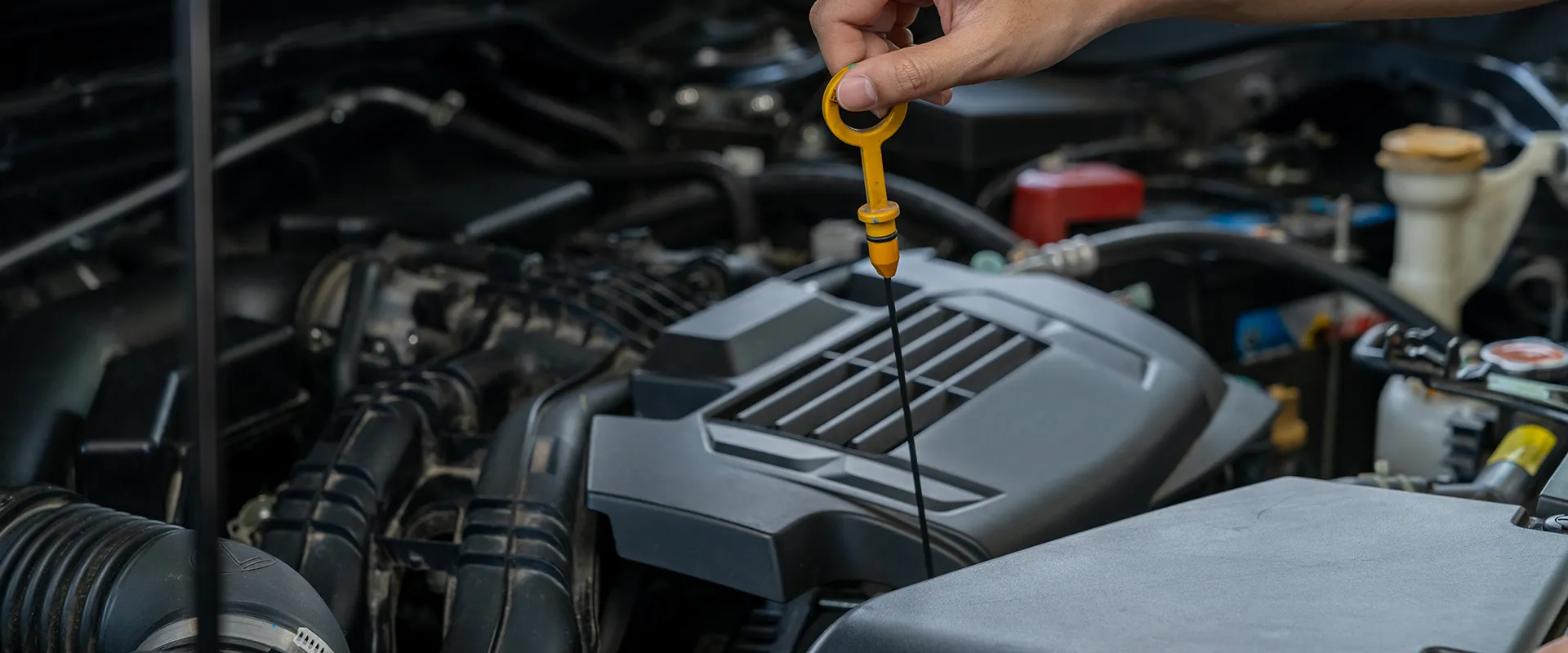 Oil Change near Blaine, MN